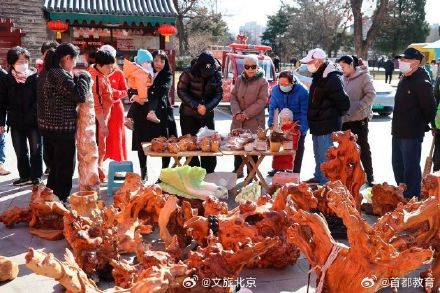 周末约起来！明城墙梅花文化节将持续至4月中旬