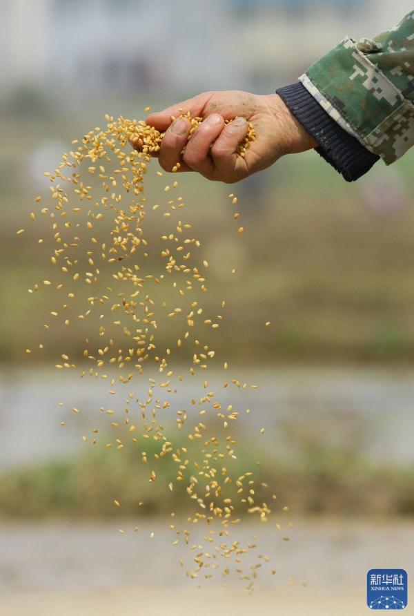 春日农事忙 春日农事忙