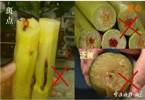 【健康科普】正是高发期！这个东西不要乱吃！不能乱吃！