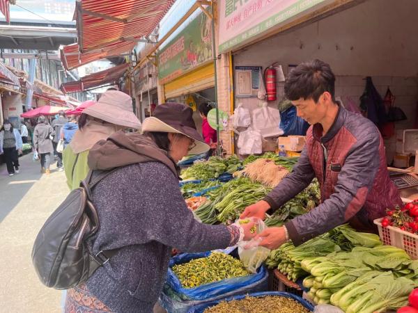 大降价!昆明人的春菜自由要来了 大降价!昆明人的春菜自由要来了