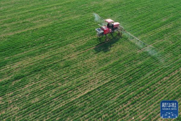 春日农事忙 春日农事忙