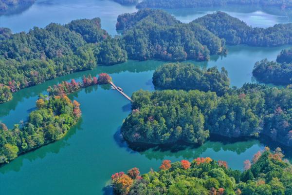 江西这些春日秘境，超适合踏青吸氧！