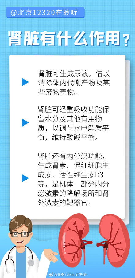 保护肾脏，日常该注意什么？