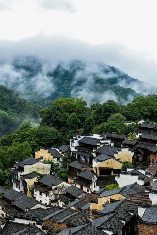 江西这些春日秘境，超适合踏青吸氧！