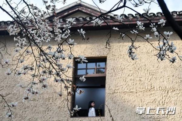 太美了！长沙又一网红打卡点火了