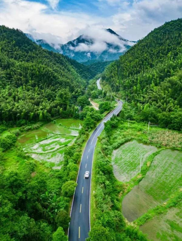 江西这些春日秘境，超适合踏青吸氧！