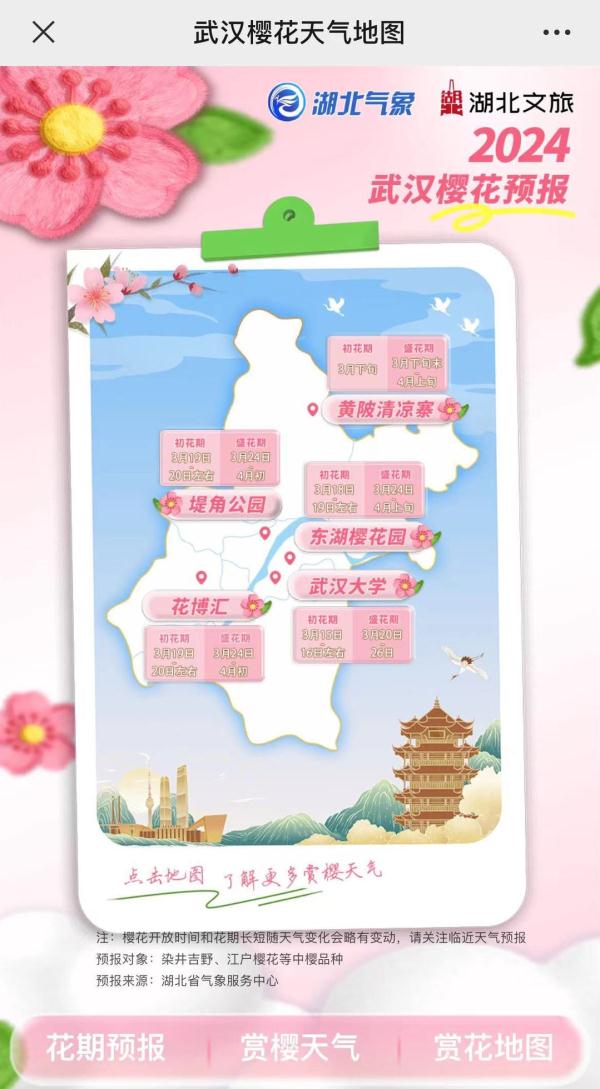 下周！盛放！
