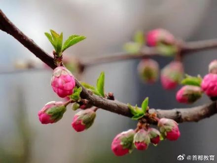 就在这周六!北京雁栖湖将于3月16日开园 就在这周六!北京雁栖湖将于3月16日开园