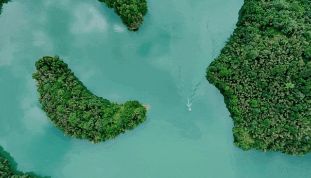 江西这些春日秘境，超适合踏青吸氧！