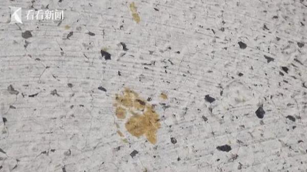 急寻!这只猫全身沾满剧毒致癌物!可经皮肤接触、呼吸道侵入 急寻!这只猫全身沾满剧毒致癌物!可经皮肤接触、呼吸道侵入