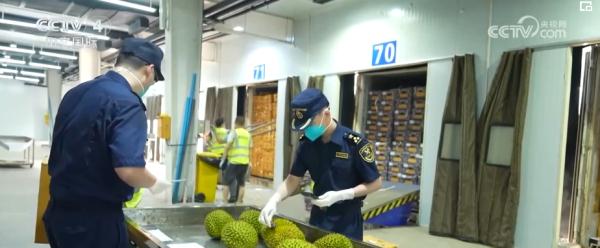 智慧海关实现政策服务直达直享 保障守法企业畅通无阻 智慧海关实现政策服务直达直享 保障守法企业畅通无阻