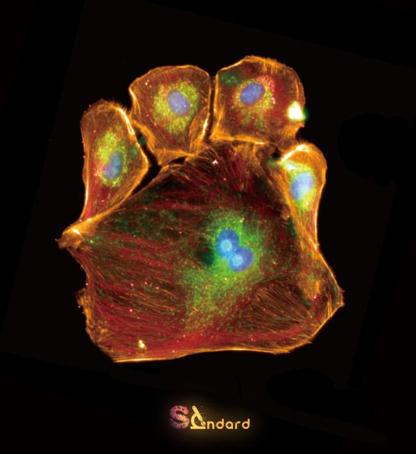 U30专访｜蒿慧文：纳米世界的分子彩妆师