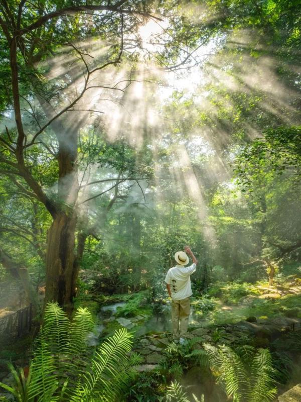 江西这些春日秘境，超适合踏青吸氧！