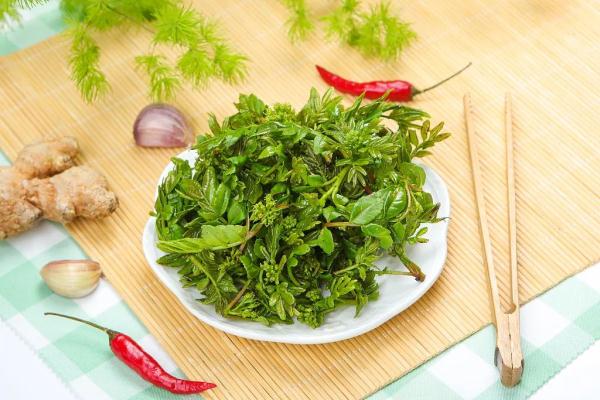 惊喜!某些食物发芽后营养价值飙升,前提是你得这样做! 惊喜!某些食物发芽后营养价值飙升,前提是你得这样做!