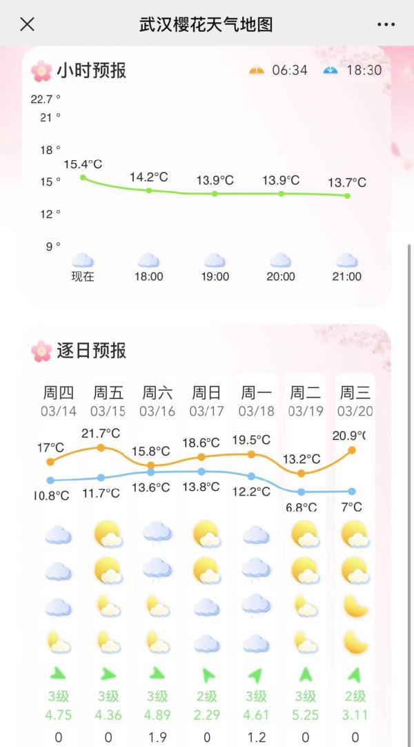 下周！盛放！