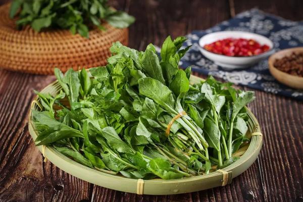 惊喜!某些食物发芽后营养价值飙升,前提是你得这样做! 惊喜!某些食物发芽后营养价值飙升,前提是你得这样做!