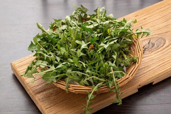 惊喜!某些食物发芽后营养价值飙升,前提是你得这样做! 惊喜!某些食物发芽后营养价值飙升,前提是你得这样做!