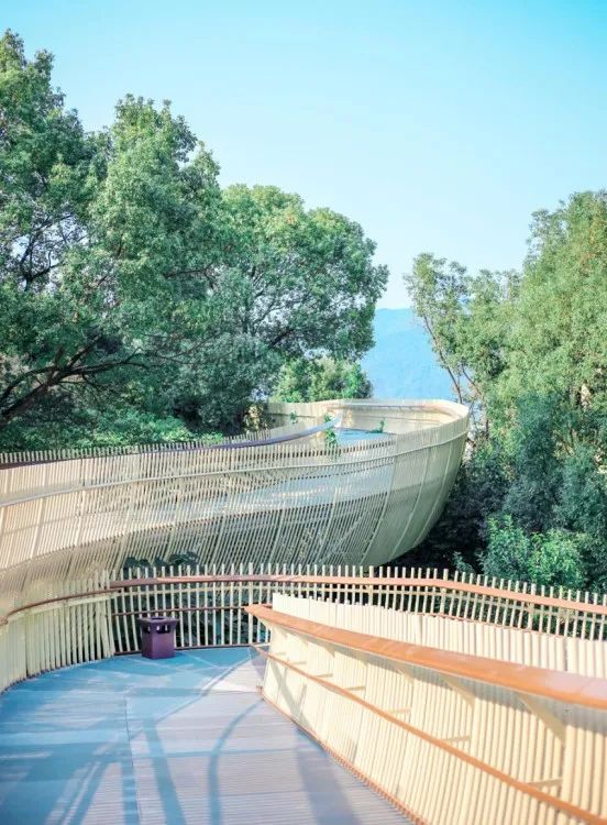 江西这些春日秘境，超适合踏青吸氧！