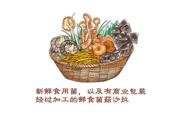横琴封关后，内地游客如何进出？