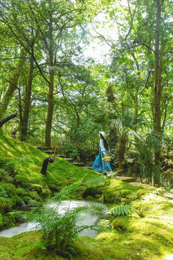 江西这些春日秘境，超适合踏青吸氧！