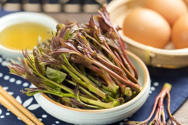 惊喜!某些食物发芽后营养价值飙升,前提是你得这样做! 惊喜!某些食物发芽后营养价值飙升,前提是你得这样做!