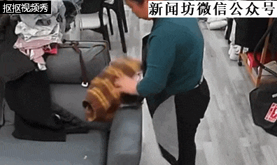 上海这户人家,摄像头拍下女主人背后、鬼鬼祟祟的她 上海这户人家,摄像头拍下女主人背后、鬼鬼祟祟的她