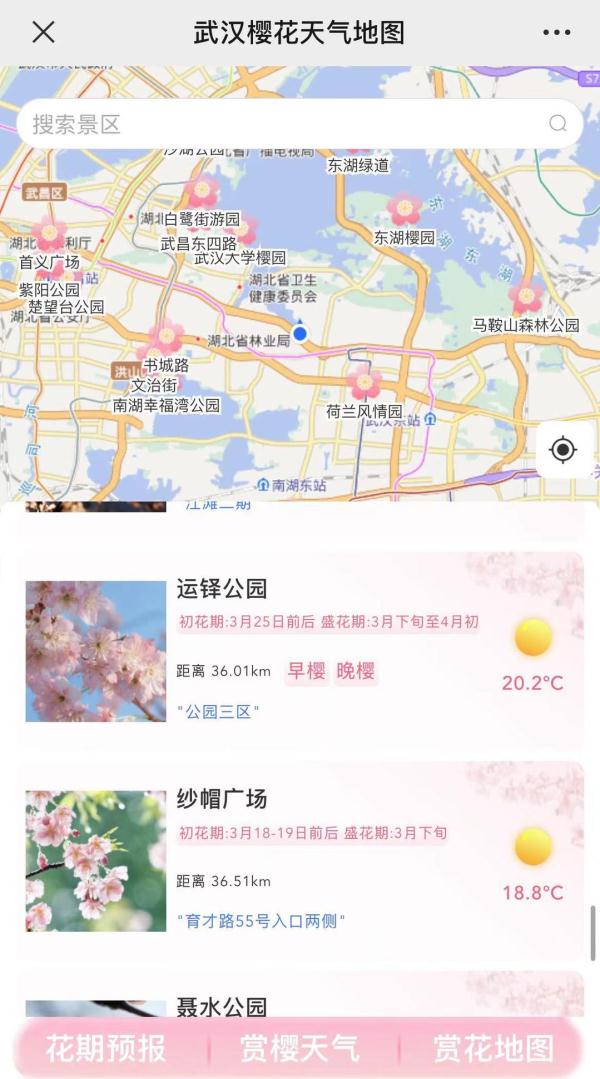 下周！盛放！