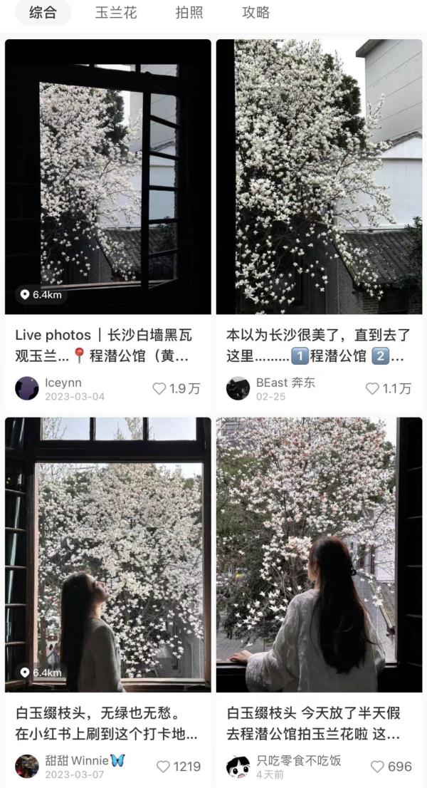 太美了！长沙又一网红打卡点火了