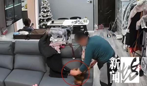上海这户人家,摄像头拍下女主人背后、鬼鬼祟祟的她 上海这户人家,摄像头拍下女主人背后、鬼鬼祟祟的她