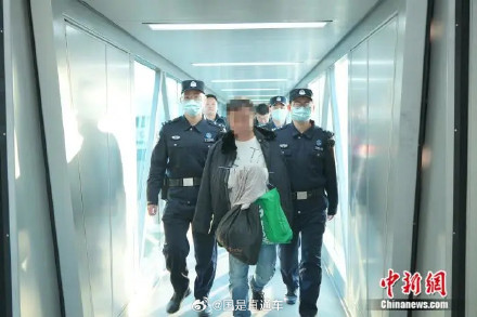 重要红通犯罪嫌疑人刘某龙押解回国 重要红通犯罪嫌疑人刘某龙押解回国