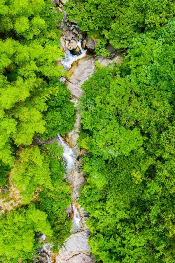 江西这些春日秘境，超适合踏青吸氧！