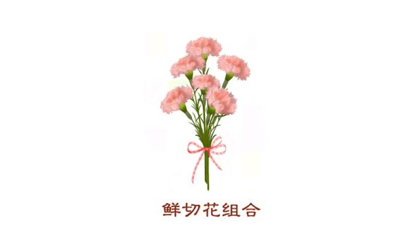 横琴封关后，内地游客如何进出？