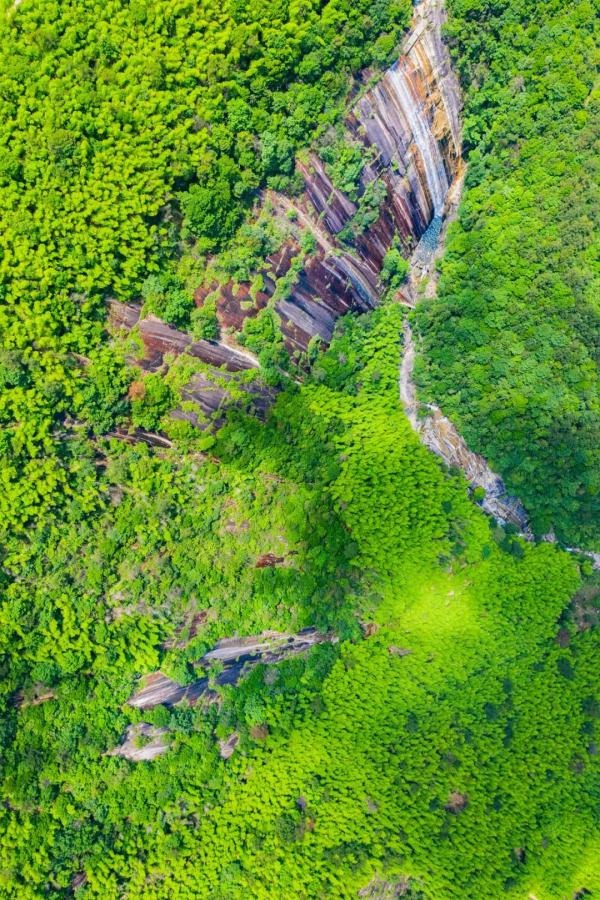 江西这些春日秘境，超适合踏青吸氧！