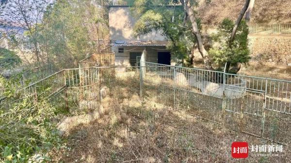 一只走红“胖豹”与2元门票的背后