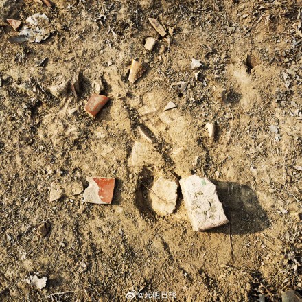 永济渠衡水段发现多处古代地域性中心城市遗址 永济渠衡水段发现多处古代地域性中心城市遗址