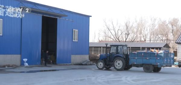 玉米购销两旺、春耕备耕正忙 从市场到田间呈现“蒸蒸日上”万千气象