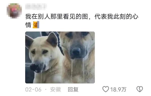 “甘肃麻辣烫”火到济南！6天开4家店，日营业额破万！记者探店→