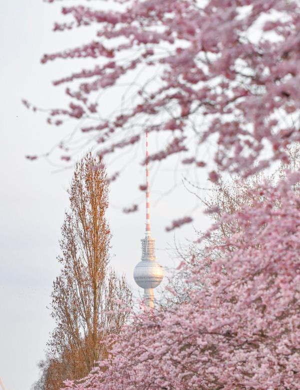 德国柏林:春暖花开 德国柏林:春暖花开