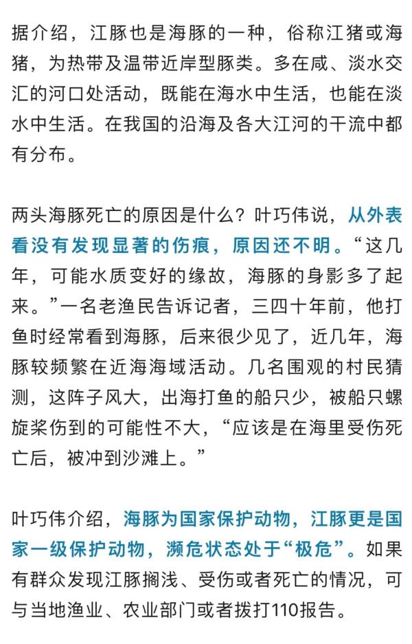 已确认死亡！出现在福建海边……