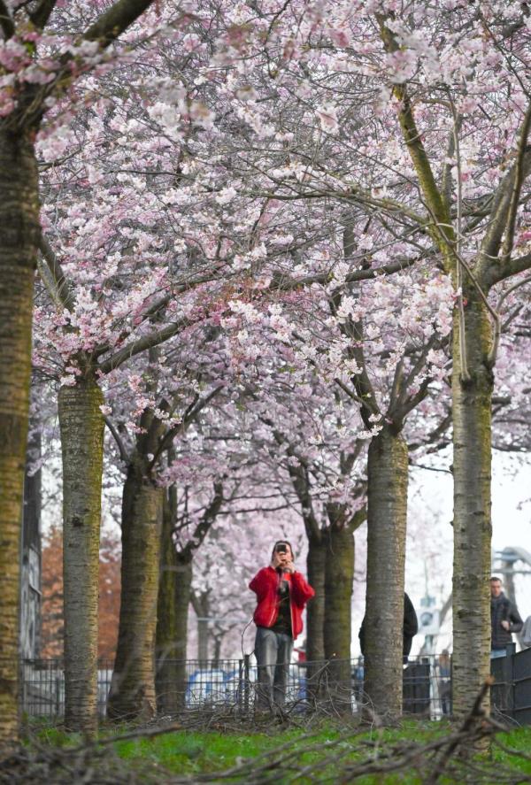 德国柏林:春暖花开 德国柏林:春暖花开