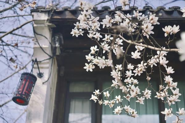 警惕!逛完西湖,男子突然烂脸!医生:3月起患者大增 警惕!逛完西湖,男子突然烂脸!医生:3月起患者大增