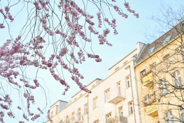 德国柏林:春暖花开 德国柏林:春暖花开