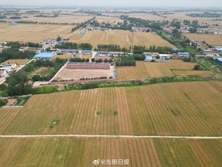 永济渠衡水段发现多处古代地域性中心城市遗址 永济渠衡水段发现多处古代地域性中心城市遗址