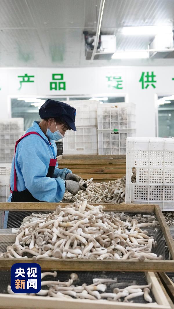 甘肃“麻”“辣”“烫”出圈秘籍，找到啦！全国推广难度加大，咋办？