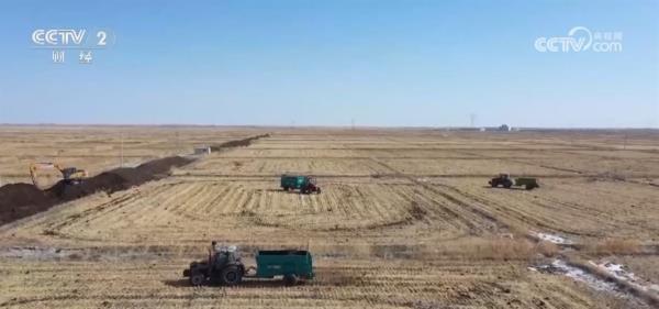 玉米购销两旺、春耕备耕正忙 从市场到田间呈现“蒸蒸日上”万千气象