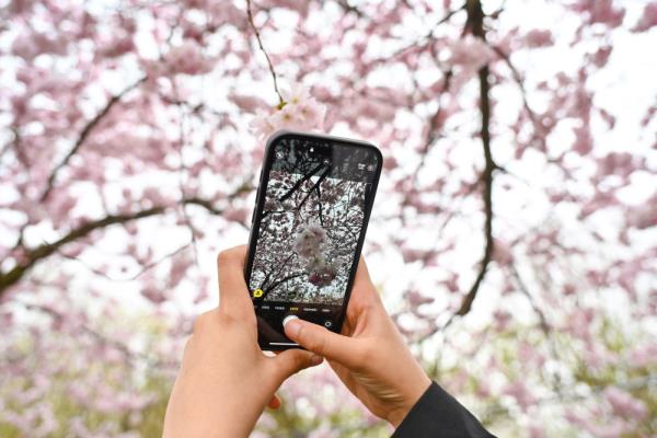 德国柏林:春暖花开 德国柏林:春暖花开