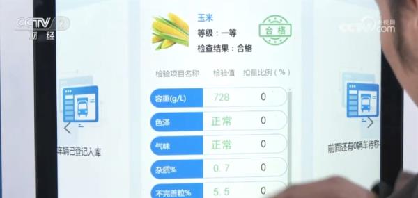玉米购销两旺、春耕备耕正忙 从市场到田间呈现“蒸蒸日上”万千气象
