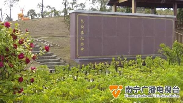 南宁持续推进文明祭扫，民政部门：建议错峰祭拜、扫墓