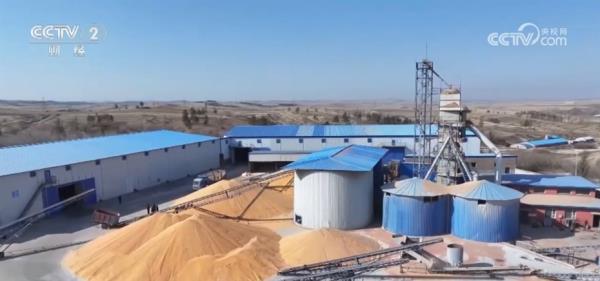 玉米购销两旺、春耕备耕正忙 从市场到田间呈现“蒸蒸日上”万千气象