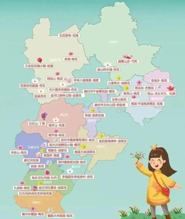 赏花指南发布！河北最美的春天都在这里→